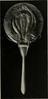 Picture 370 of 387 from Studio international (1893), leaf 342