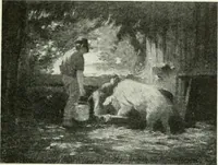 An illustration from Studio international (1893)
