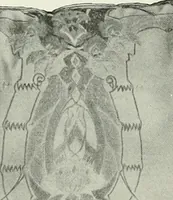 An illustration from Studio international (1893)