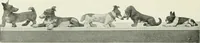An illustration from Studio international (1893)