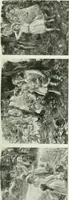 An illustration from Studio international (1893)
