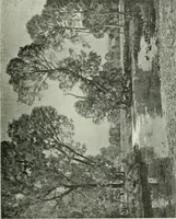 An illustration from Studio international (1893)