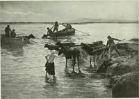 An illustration from Studio international (1893)
