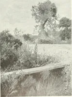An illustration from Studio international (1893)