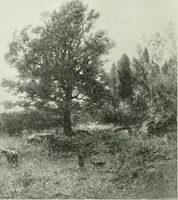 An illustration from Studio international (1893)