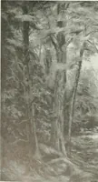 An illustration from Studio international (1893)