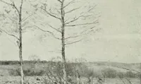 An illustration from Studio international (1893)