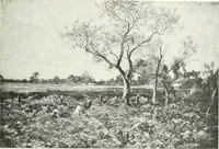 An illustration from Studio international (1893)