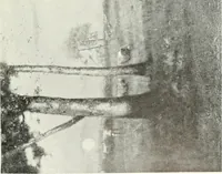 An illustration from Studio international (1893)
