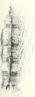 An illustration from Studio international (1893)