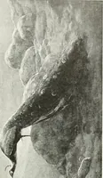 An illustration from Studio international (1893)