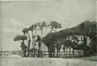 An illustration from Studio international (1893)