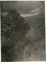 An illustration from Studio international (1893)