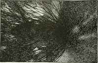 An illustration from Studio international (1893)