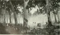 An illustration from Studio international (1893)