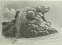 An illustration from Studio international (1893)