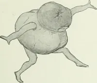 An illustration from Studio international (1893)