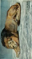 An illustration from Studio international (1893)