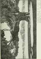 An illustration from Studio international (1893)