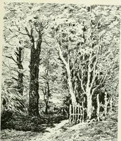An illustration from Studio international (1893)