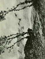 An illustration from Studio international (1893)