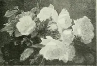 An illustration from Studio international (1893)