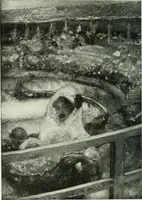 An illustration from Studio international (1893)