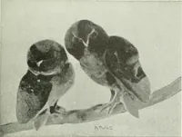 An illustration from Studio international (1893)