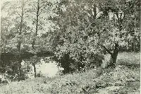 An illustration from Studio international (1893)