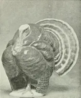 An illustration from Studio international (1893)