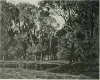An illustration from Studio international (1893)