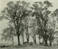 An illustration from Studio international (1893)