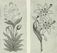 An illustration from Studio international (1893)
