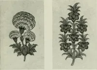 An illustration from Studio international (1893)