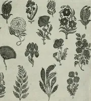 An illustration from Studio international (1893)