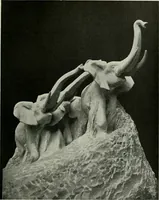 An illustration from Studio international (1893)