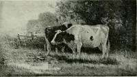 An illustration from Studio international (1893)