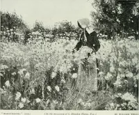 An illustration from Studio international (1893)
