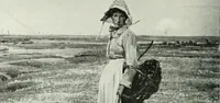 An illustration from Studio international (1893)