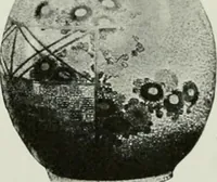 An illustration from Studio international (1893)