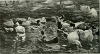 An illustration from Studio international (1893)