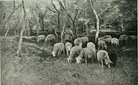 An illustration from Studio international (1893)