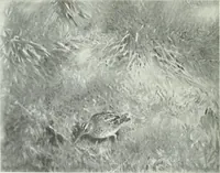 An illustration from Studio international (1893)