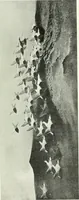 An illustration from Studio international (1893)