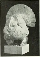 An illustration from Studio international (1893)