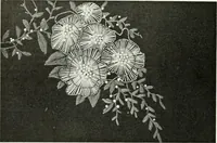 An illustration from Studio international (1893)