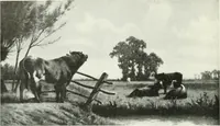 An illustration from Studio international (1893)