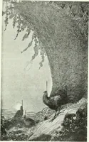An illustration from Studio international (1893)