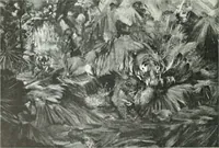 An illustration from Studio international (1893)