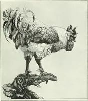 An illustration from Studio international (1893)